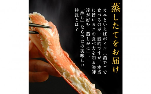 タグ付き 蒸し松葉蟹×1枚（350g前後）【鳥取県 境港市】