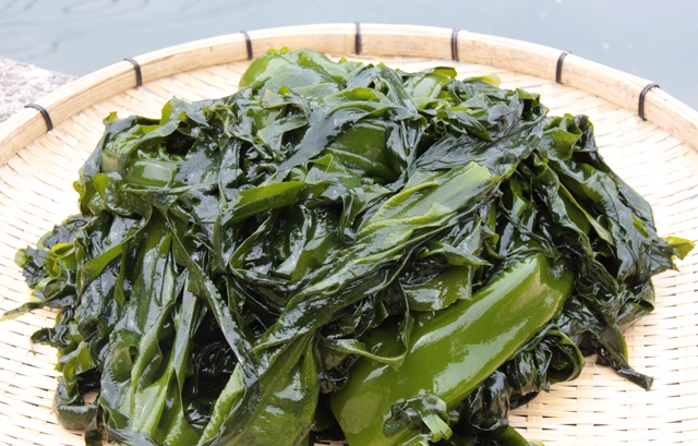 小分けでお届け！天然お刺身わかめ100g×10パック 