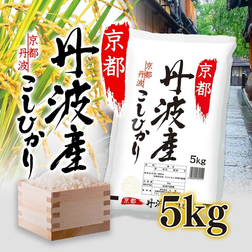 【ふるさと納税】令和7年度産 丹波産 こしひかり 5kg 【 京都 綾部 お米 コメ 5キロ 精米 白米 こしひかり コシヒカリ 米 丹波 】