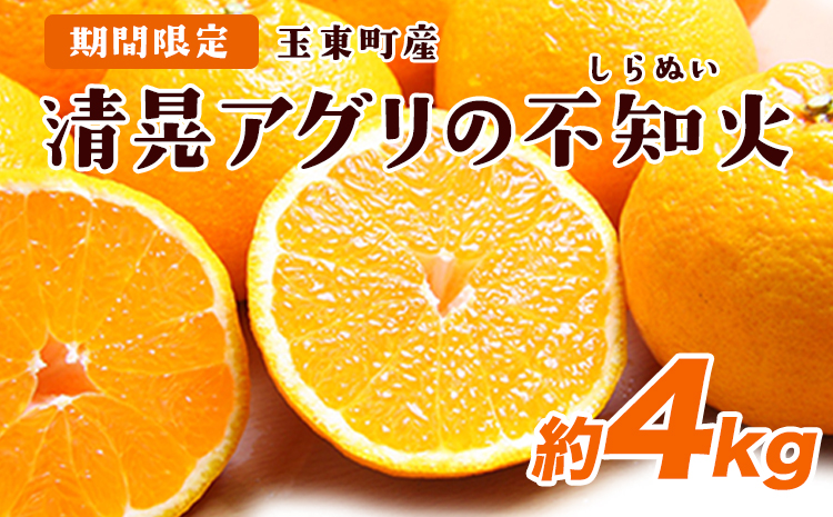 『清晃アグリ』の不知火(しらぬい) 予約受付中 フルーツ 旬★あのデコポンと同品種★約4kg(L-4Lサイズ)10玉-16玉前後 熊本県玉名郡玉東町『清晃アグリ』不知火《2025年2月上旬-3月下旬頃出荷》