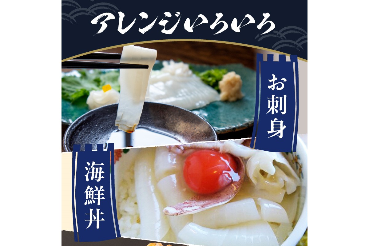 日本海産『海の京都』の逸品！！　活白イカ姿造り（クリスタル白いか）中サイズ 1杯（200g前後）（2027年6月上旬～発送） ふるさと納税 海鮮 鮮度抜群 新鮮 海鮮 いか イカ 簡単調理 生産者応援