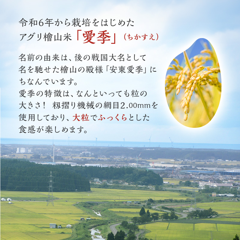 令和7年産 新米 アグリ檜山米 愛季(ちかすえ) 白米 10kg  あきたこまち  精米 お米 おこめ こめ コメ ごはん ご飯 大粒 令和7年  秋田 秋田県 能代市