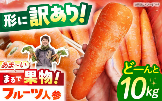 ＜先行予約！12月～5月お届け＞【訳あり】宮崎さんのフルーツにんじん10kg 長崎県/株式会社まるまさ [42ALAB002]フルーツ 人参 ニンジン にんじん キャロット 長崎 島原 野菜 ジュース スムージー 甘い 訳アリ わけあり