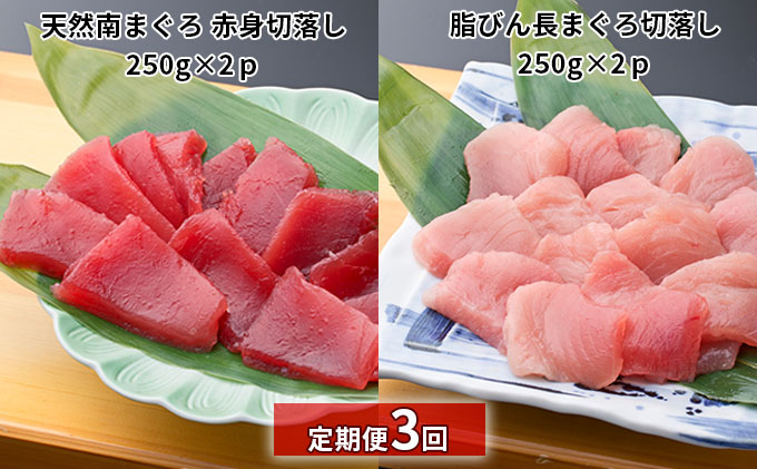 
                  【定期便3回】天然南まぐろ 赤身 切落し＆ 脂びん長まぐろ 切落し【配送不可：離島】 魚貝類 鮪 マグロ  [№5786-4587]
                