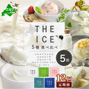 【ふるさと納税】【毎月12回定期便】【THE ICE】5種食べ比べ 5個セット【CJM120206】