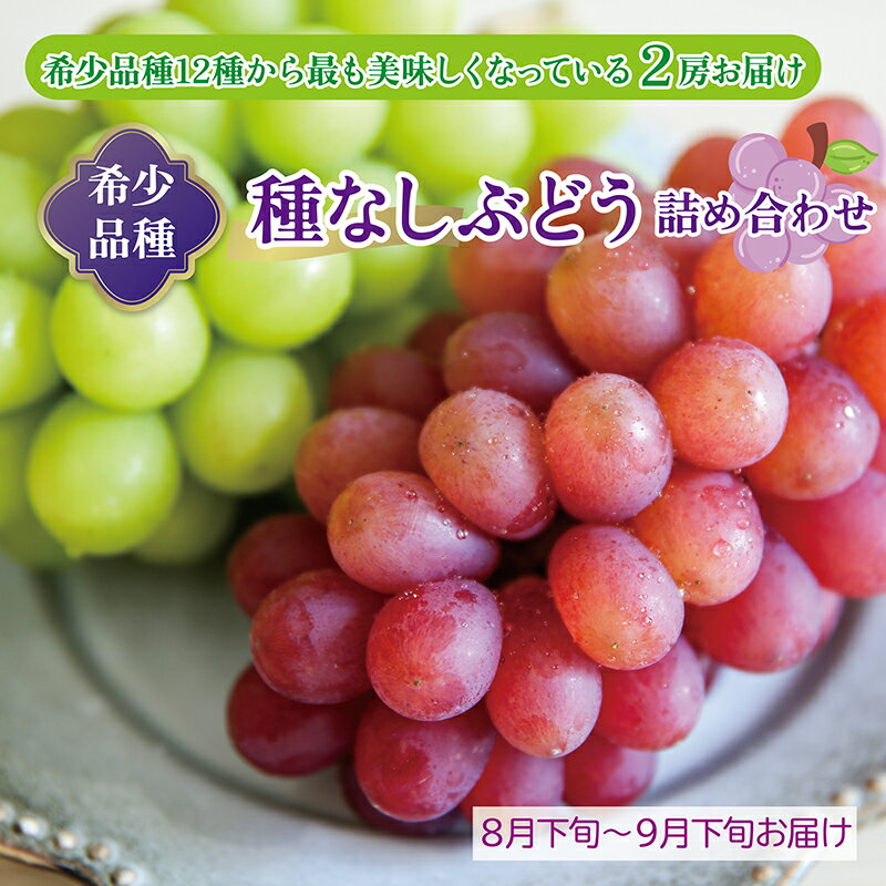 【ふるさと納税】〈2025年先行予約〉希少品種 種なしぶどう 詰め合わせ （希少品種12種から最も美味しくなっている時期のものを2房お届け）【数量限定】/送料無料 福井 越前市 フルーツ 果物 露地栽培 大粒 ぶどう 甘さ 冷蔵 (18209)