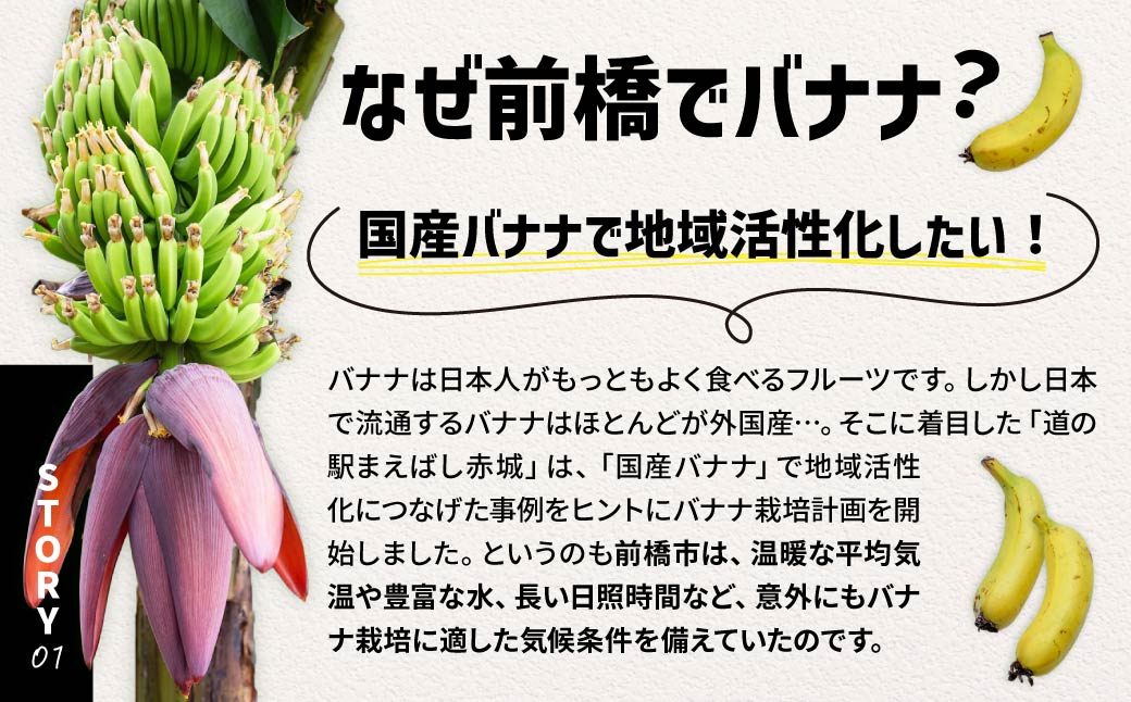 国産 バナナ 1.2kg 入り | 国産 ばなな 幻 高級 極上の甘み もちもち食感 糖度 夏休み 子ども ヒルナンデス メディア 群馬県 前橋市