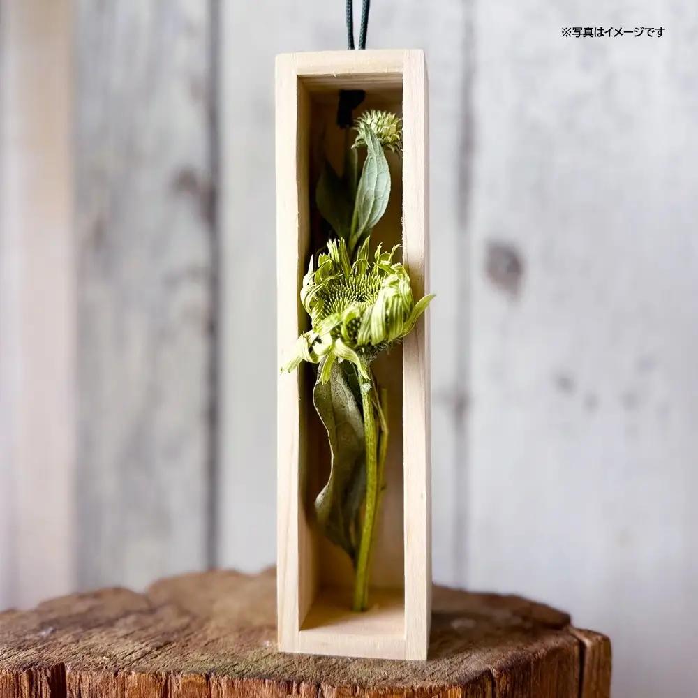 SL0284　水のいらない花 ゼロフラワー「花いちりん」 S×3セット　草花(ミックス) 