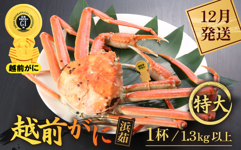
            越前がに本場の越前町からお届け！ 越前がに 浜茹で 特大サイズ（生で1.3kg以上） × 1杯【かに カニ 蟹】【福井県 越前町 雄 ズワイガニ ボイル 冷蔵 越前ガニ 越前かに 越前カニ ずわいがに ずわい蟹 かに カニ 蟹】【12月発送分】希望日指定可 備考欄に希望日をご記入ください [e43-x007_12]
          