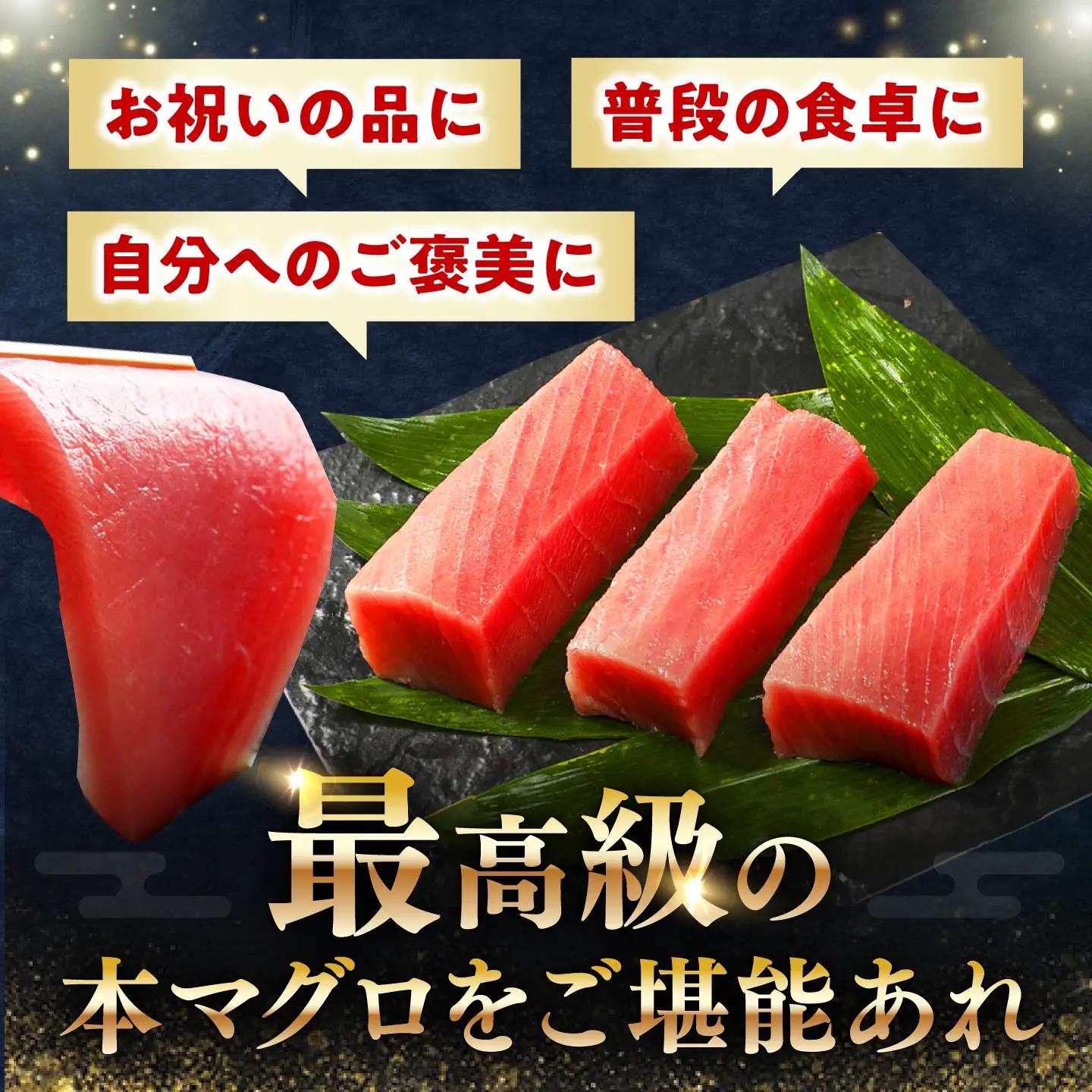 【1週間以内発送】対馬産 本マグロ 中トロ 500g [WAH018] 中とろ まぐろ スピード発送 最速発送 最短発送