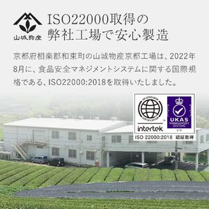 煎茶 ティーバッグ 100パック 国産 お茶 おちゃ 茶 飲料 日本茶 煎茶ティーバッグ 京都 和束町
