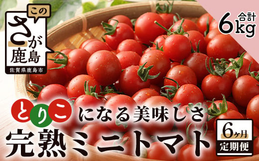 【先行予約】 完熟ミニトマト 『Ricotomato』 【1kg×6回定期便】 【2024年12月から出荷】 H-12