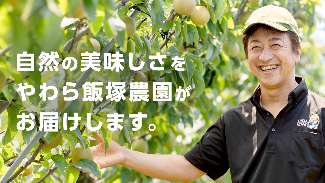 地元農家が作る つくばみらい市産 梨 を使った クラフトビール 「和梨のエール」 330ml 6本セット 地ビール 和梨 ビール やわら飯塚農園 [CZ10-NT]