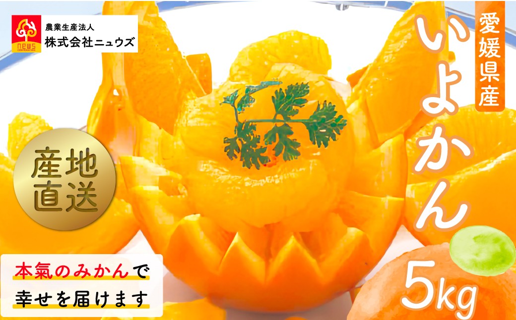 
                  【先行予約】産地直送！愛媛県産いよかん 5kg（2027年1月中旬から発送予定） 【 ふるさと納税 人気 おすすめ ランキング みかん ミカン 蜜柑 いよかん フルーツ 果物 産地直送 ニュウズ 愛媛県産 愛媛県 伊方町 送料無料 】 IKTF004
                