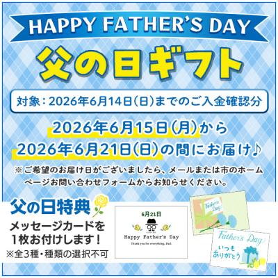 ふるさと納税 いちき串木野市 【令和8年 父の日】麦焼酎 チルグリーン 2種 (720ml×各1本)オリジナルペアグラス付 化粧箱 |  | 03
