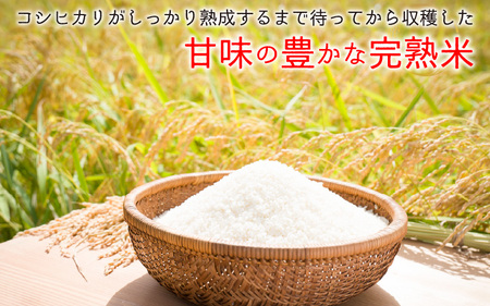 【先行予約】【令和7年産　新米】【12ヶ月定期便】くらもち完熟米 コシヒカリ 白米10kg（5kg×2袋）×12回　計120kg【2025年10月より順次発送】