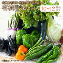 【ふるさと納税】有機JAS認定 季節の野菜詰め合わせ~有機野菜セットA~季節の有機野菜 10～12種類程度 おまかせ 詰め合わせ 農薬化学肥料不使用 朝どれ 新鮮野菜 安心 安全 国産 北海道 北広島市産 冷蔵 送料無料