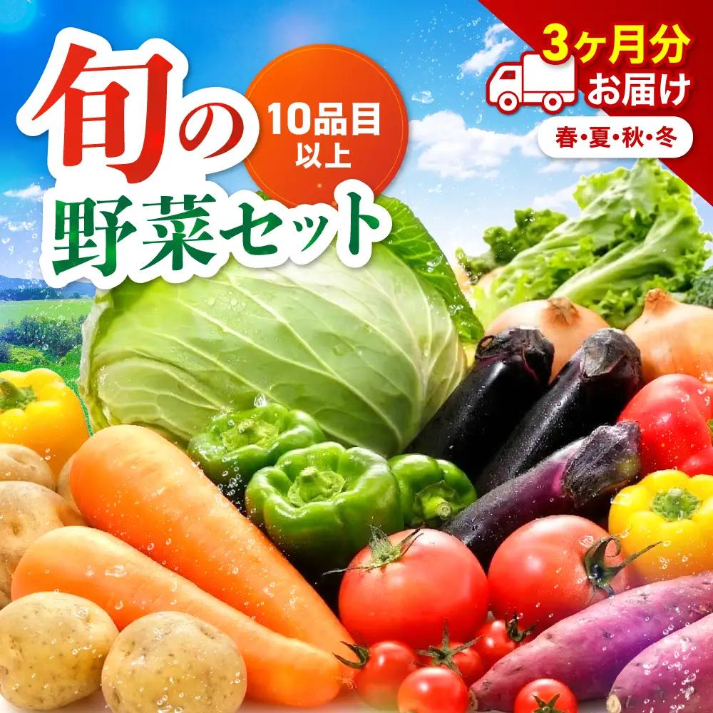 【定期便3回】【JA直売所直送】春夏秋冬野菜セット | 毎月届く 旬野菜 野菜 やさい ヤサイ 旬 国産 国産野菜 定期 定期便 3回 大分県 中津市