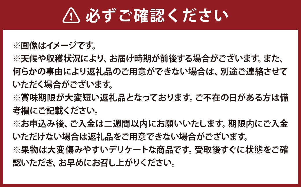 岡山県産 フルーツ定期便＜お一人様向け＞