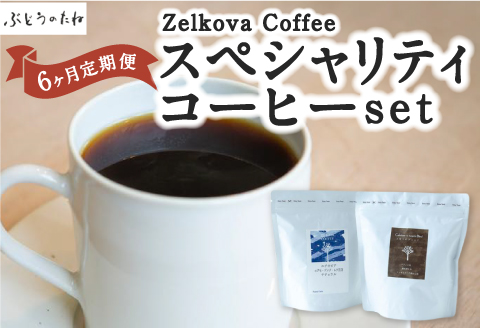 【6ヶ月定期便】Zelkova Coffee スペシャルティコーヒーセット (豆のまま) 200g×2種 コーヒー 豆 うきは市