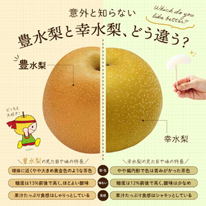 豊水梨 ご自宅用 約5kg【先行予約・数量限定】世羅 幸水農園 豊水 梨 なし フルーツ 果物 くだもの 果汁 シャリシャリ 酸味 濃厚 デザート 産地直送 JGAP認証 新鮮 【2026年9月中旬以