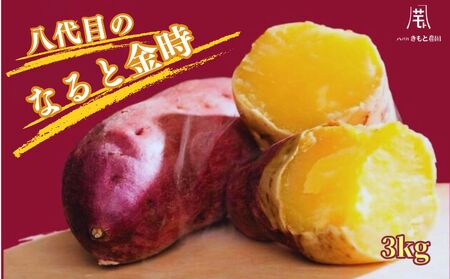【予約受付中・2026年9月下旬頃より順次発送】【木元農園】八代目の なると金時 約3kg  | 鳴門金時 甘い ホクホク 熟成 産地直送 スイーツ おやつ 焼きいも 天ぷら 干し芋 スイートポテト 離乳食　さつまいも