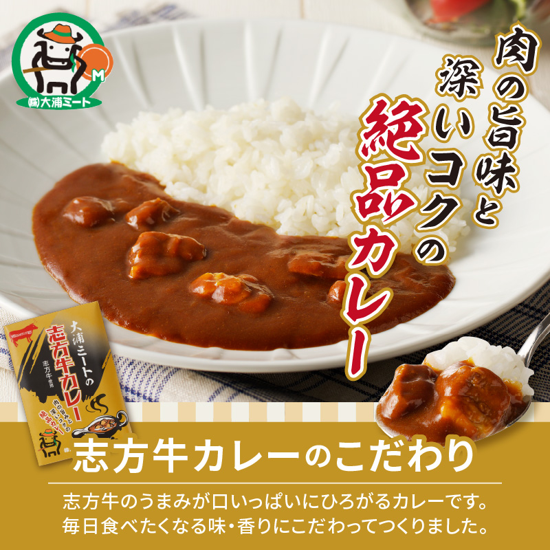大浦ミートの志方牛カレー　5個セット【2400I00212】