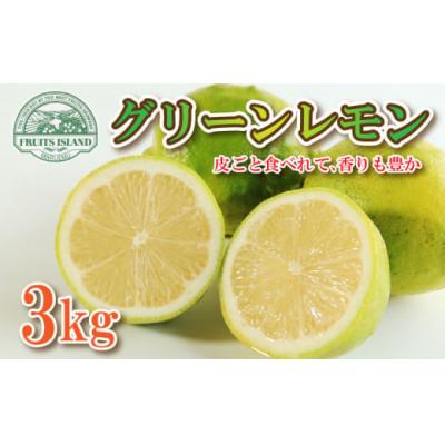 ふるさと納税 愛南町 【先行受付】【2026年10月1日〜】レモン 3kg フルーツアイランド・マルエム産