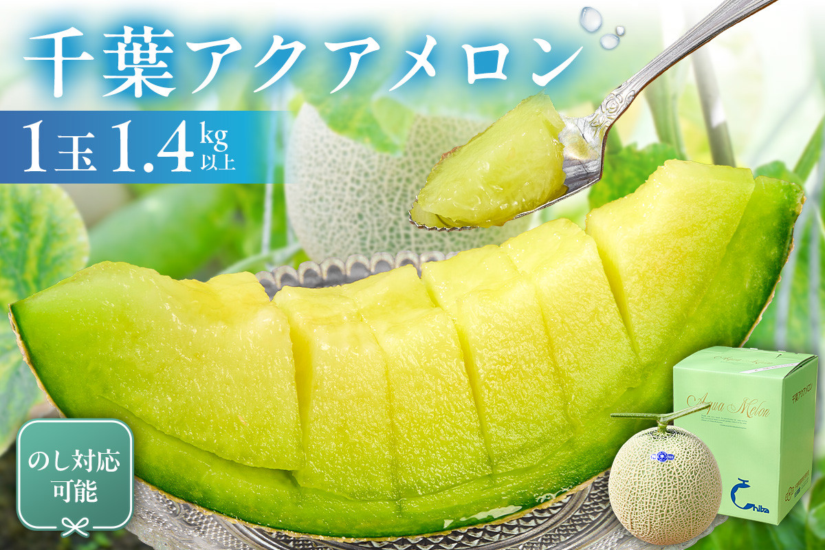 
            のし対応可能 千葉アクアメロン(マスクメロン)1玉 mi0018-0002-OYA【メロン 青肉 ギフト 贈答 プレゼント フルーツ 果物】
          