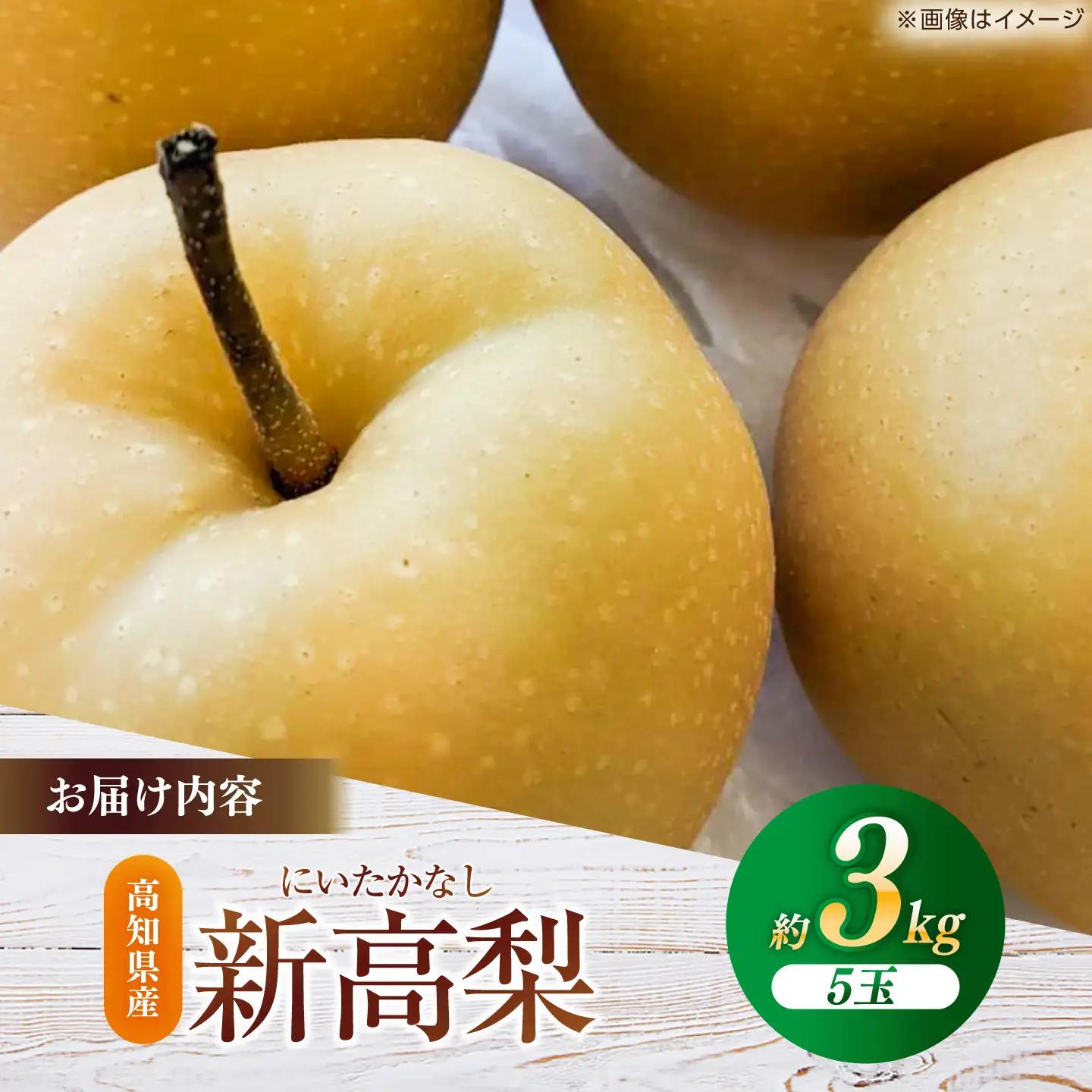 【先行予約】 新高梨 約3kg（5玉）〈2026年9月20日~10月末発送〉 / 高知 新高梨  【川渕果樹園】[ATHX002]