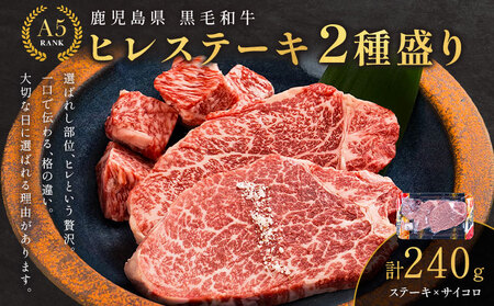 肉 牛肉 鹿児島県産 黒毛和牛 ヒレステーキ 2種盛り ステーキ サイコロ 240g A5等級 LRプラスK 《90日以内に出荷予定(土日祝除く)》 A5 鹿児島県 さつま町