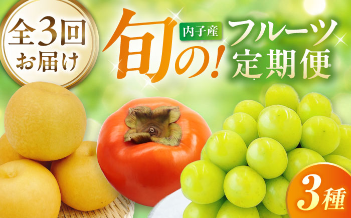 【先行予約】【3回定期便】梨・ぶどう・柿 旬のフルーツ定期便 ＜2026年8月中旬から発送＞【北海道・沖縄配送不可】 ／かき カキ ブドウ 葡萄 梨 なし ナシ 和梨 果物 フルーツ 国産 産地直送【