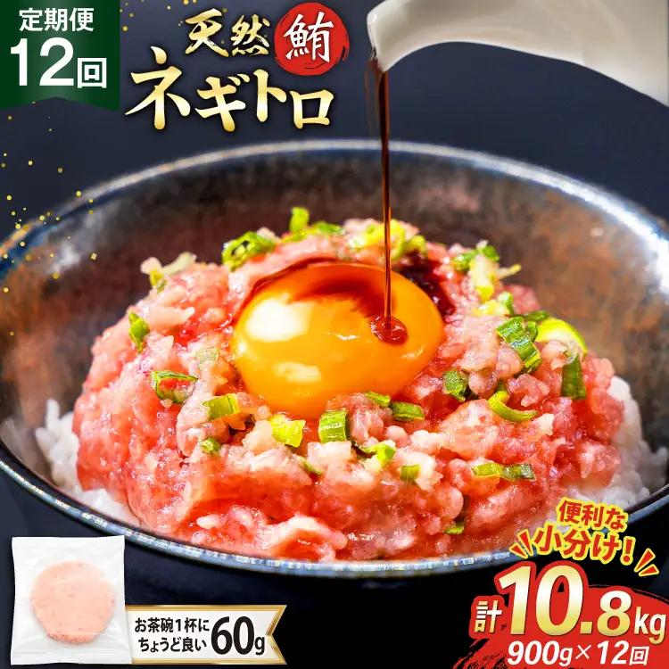 【ネギトロ】12回 定期便 天然 マグロ ネギトロ まぐろたたき 60g 15個 計900g