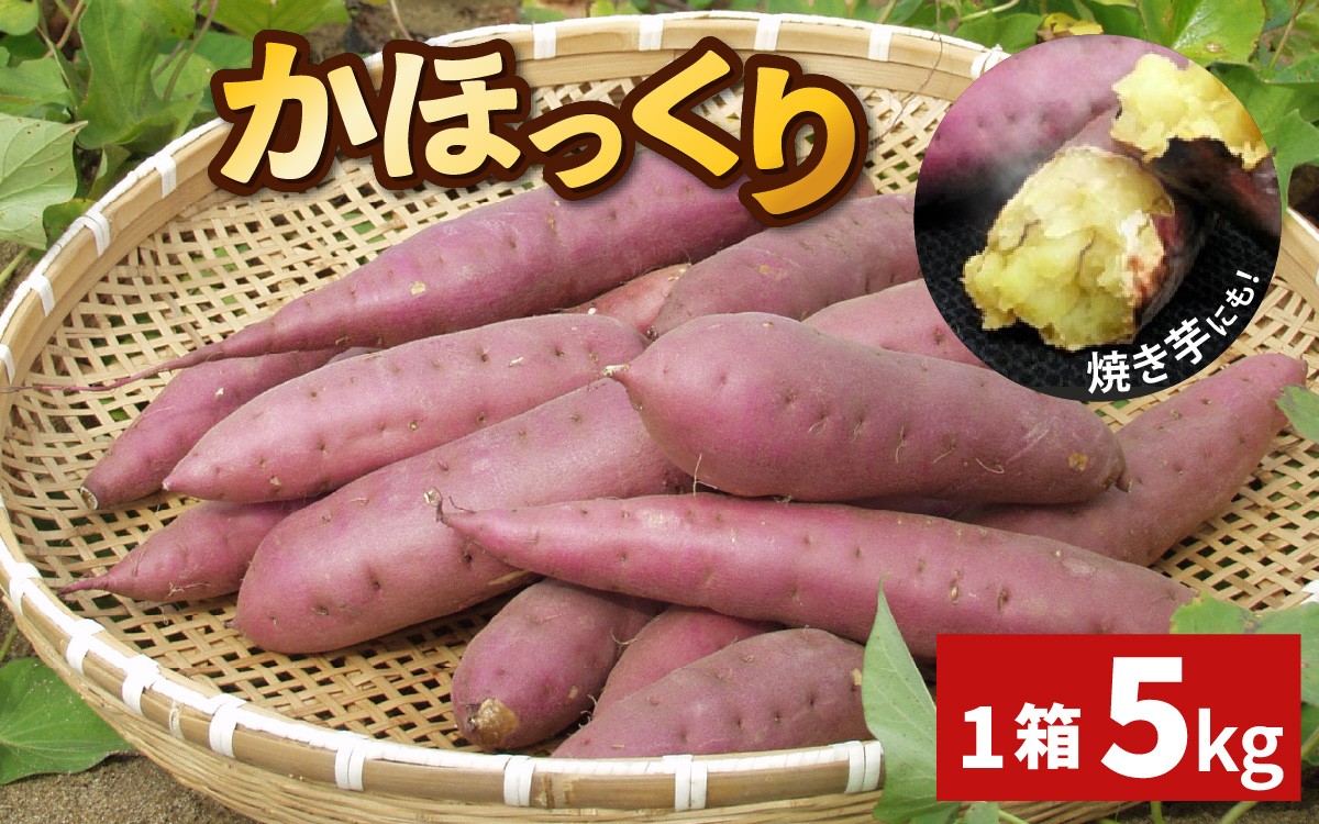 
                  【先行予約】かほっくり 5kg （1箱）さつまいも【2027年1月下旬より順次発送】 |  芋 5キロ 甘い ホクホク 甘味 スイーツ 焼き芋 国産 さつま芋 スイートポテト 大学芋
                