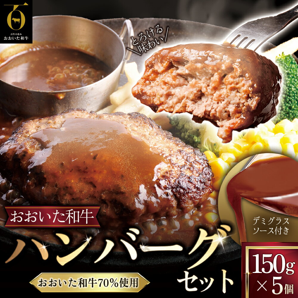 【ふるさと納税】おおいた 和牛 ハンバーグ セット 【 150 g × 5 】 デミグラス ソース 付き 九州産 大分県産 姫島村 G25