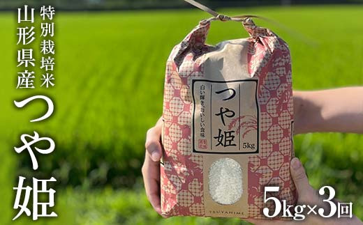 
                  【先行予約 2026年11月上旬から発送】農家の先生が作る 山形県産つや姫 定期便 （数量限定） FSY-2925
                