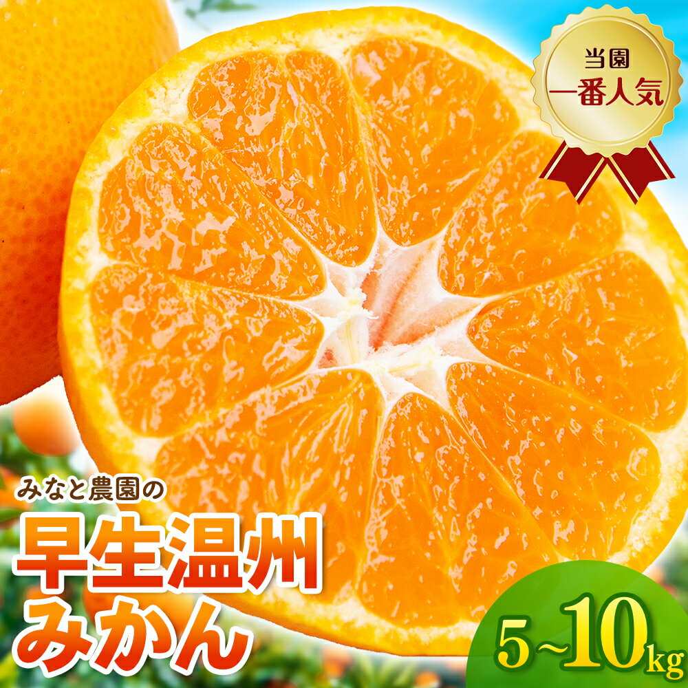 【ふるさと納税】 【数量限定】みかん 温州みかん 早生 5kg 10kg 選べる容量 2S～Lサイズ混合 みかん ミカン 蜜柑 温州みかん 温州ミカン mikan 柑橘 フルーツ 果物 甘い 旬 人気 産地直送 三重県 熊野市 送料無料 みなと農園【2026年12月上旬頃〜順次発送】