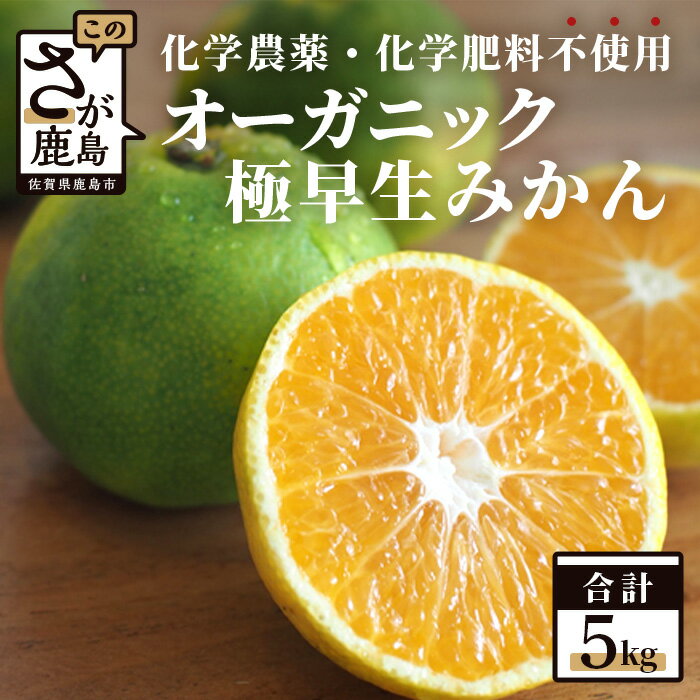 【ふるさと納税】《10月10日までの受付》オーガニック みかん 極早生 5kg ミカン フルーツ 果物 佐賀県 鹿島市 送料無料 【9月中旬~10月発送予定】 B-150
