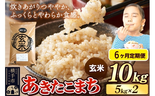 《令和7年産》《定期便6ヶ月》 米 あきたこまち 10kg（5kg×2袋） 【玄米】 秋田県産
