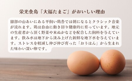 産地直送 大福たまご 40個