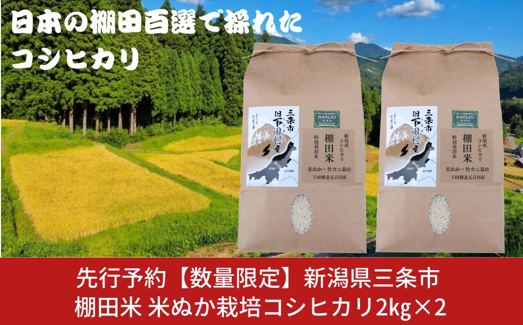 
            先行予約 [数量限定] 棚田米 米ぬか栽培コシヒカリ2kg×2袋 新潟県 三条市 下田産 こしひかり 4kg 精米 白米 【014S085】
          