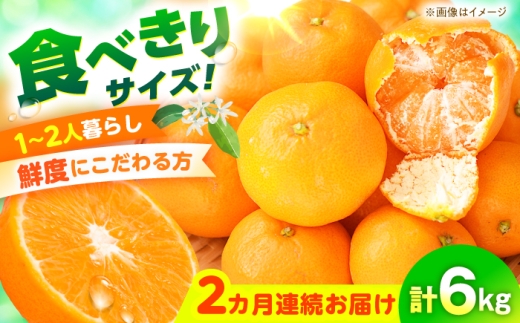 みかん【先行予約】【2回定期便】温州みかん3kg おおむら夢ファームシュシュ [ACAA500]/ みかん ミカン 蜜柑 柑橘 柑橘定期便 かんきつ 長崎県産みかん 農家直送 産地直送 数量限定 国産 長崎産 大村市産
