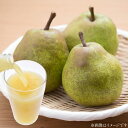 【ふるさと納税】【期間限定発送】 ラ・フランス 高畠町産 ラ・フランス 9玉 100% ジュース 2本 計11点 セット [tk06ays910003 山形県 高畠町 三鷹洋梨園] 詰め合わせ 果物 くだもの フルーツ 洋なし 洋梨 ラフランス