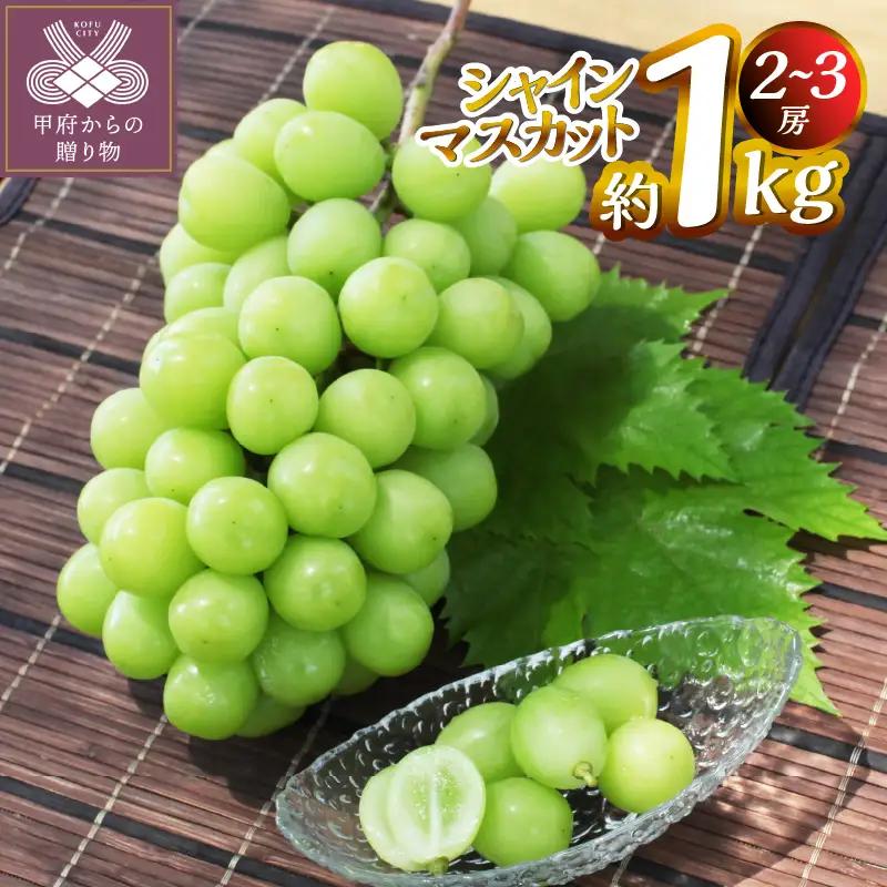 【ふるなび限定】【2026年度配送分】甲府市産　シャインマスカット　約1.0kg（2～3房）FN-Limited-PR