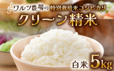 【先行予約】【令和8年産 新米】ワルツ農場のコシヒカリ クリーン精米 5kg 特別栽培米【納得の美味しさ】減農薬 有機肥料使用 / お米 ご飯 白米 発送直前 精米 つや 艶 甘味 旨み 北陸 あわら市産 福井県産 ブランド米 ※2026年10月下旬以降発送予定 [aw046-a009]