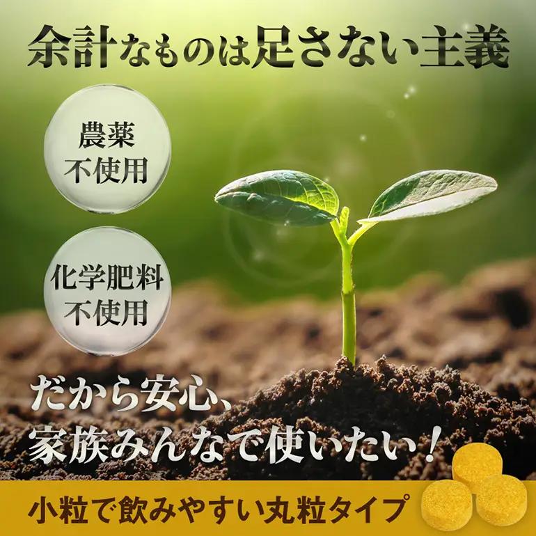 【金秀バイオ】沖縄県産 熱帯 ウコン 90粒 3袋 セット 90日 分 (約 3ヶ月 分) サプリ サプリメント 熱帯ウコン 春ウコン 紫ウコン 栽培期間中農薬・化学肥料不使用 クルクミン ビタミンC