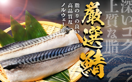 焼き鯖フィーレ 半身 骨なし 5枚×4パック 【脂がのったノルウェー鯖 解凍してすぐ食べられる】 / サバ 鯖 さば 冷凍 小浜市 / 若廣 【配送不可地域：北海道・沖縄・離島】[BFAM013]