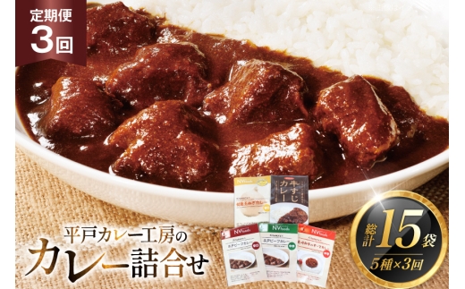 カレー セット カレー 5種 セット 3回 定期便 [カレー工房NVfoods 長崎県 平戸市 hr42bgy400098] カレー スパイス レトルト セット 詰め合わせ 食べ比べ
