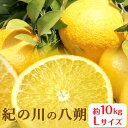 【ふるさと納税】秀品 紀の川の八朔 約10kg Lサイズ 厳選 はっさく 柑橘《1月中旬-2月下旬頃出荷》 紀の川市厳選館 和歌山県 紀の川市 フルーツ 果物