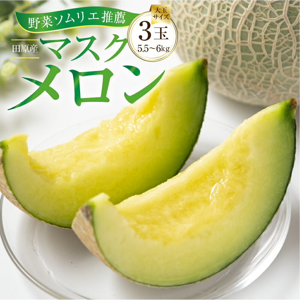 【ふるさと納税】 渥美半島 マスクメロン 高評価★4.7 / 先行予約 / 選べる玉数 2玉 3玉 5玉 6玉 2L〜3L サイズ メロン 発送時期が選べる カラーギフト箱入り 大玉 めろん フルーツ 秀品 田原市 ギフト プレゼント 人気 メロン 糖度 メロン 青肉 ド甘い 暑さ 対策 暑さ対策